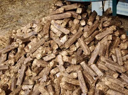 Pellet Machine/Fote Pellet Machine/Pellet Mill