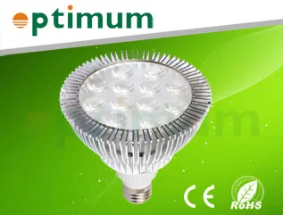 LED Spot Light (OPT-PAR38-AS12W)