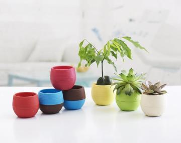 Mini Colorful Round Succulent Plant Flower Pot