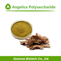 Angelica Sinensis Wortel Extract Ligustilide Ferulinezuur 1%