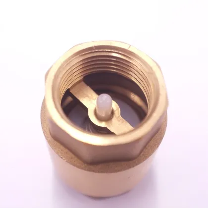 Brass vertical check valve