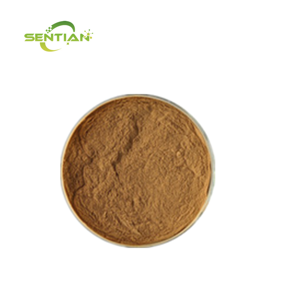 Wholesale Tribulus Terrestris Extract