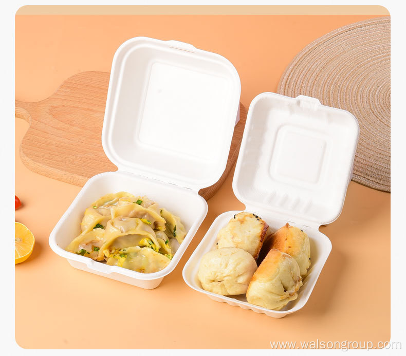 Disposable biodegradable sugarcane bagasse box