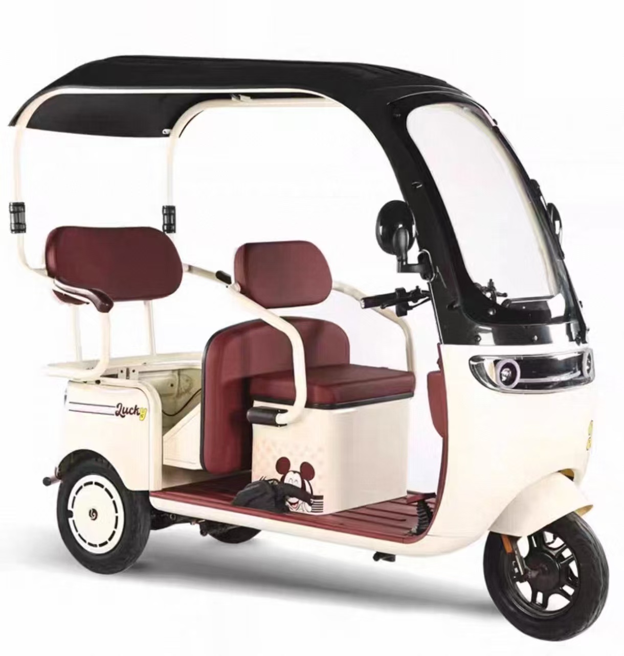 Household commuting Electric leisure tricycle with canopy