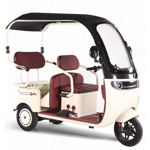 Household commuting Electric leisure tricycle with canopy