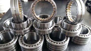 Double Row Cylindrical Roller Bearing (3182160/NN3060K)