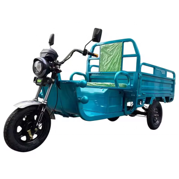 US/EU Warehouse: 1000W 60V 35km/h 3-Wheel Electric Tricycle Cargo Motorcycle