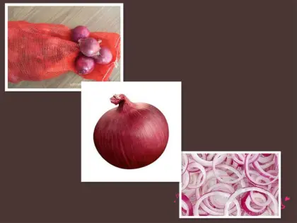 Fresh red onions size 8cm up