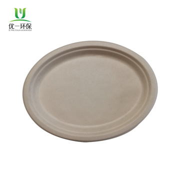 Biodegradable packaging disposable bagasse oval plate