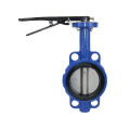 Good Price DIN ANSI JIS API Center Lined DI Zinc Plated Ductile Cast Iron Wafer Manual Butterfly Valve: Comprehensive Search Eng