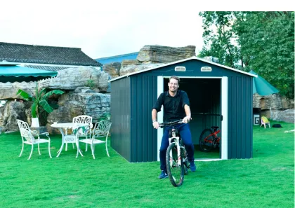 Colorful 8 X 8 Medium Apex Metal Shed