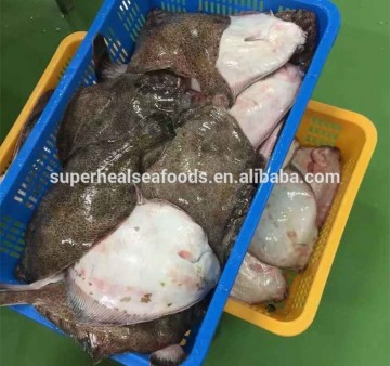 Frozen Plaice fish