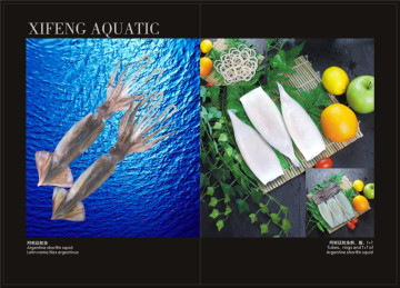 Squid Llex Frozen à vendre entier