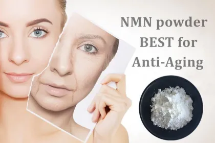 Hot Selling Beta NMN/ Beta-Nicotinamide Mononucleotide/NMN