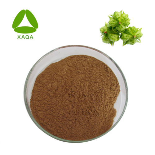 Tribulus Terrestris Extract Saponins 40% 60% Powder