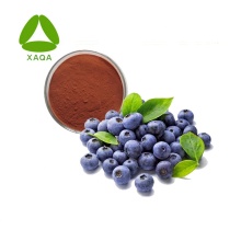 Anti-oxidant 10:1 Blueberry Extract Juice Powder
