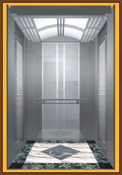Passenger Elevator for Home