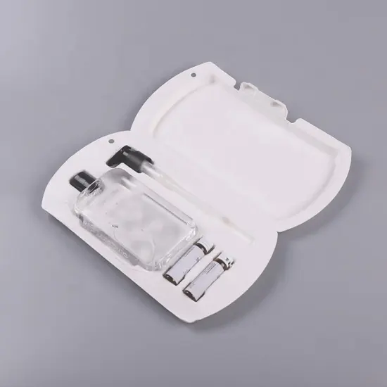 Custom eco-friendly bagasse fiber molded pulp box packaging