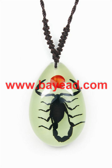 real insect lucite jewelry,real bug jewelry