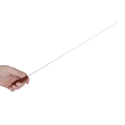 Spruce Solid Wood Orchestra Conductor Baton with Rosewood Storage Box