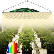 320w Grow Led Light Plant
