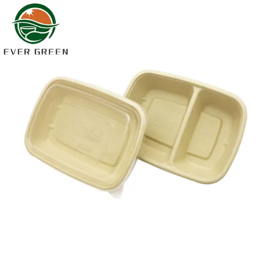 Degradable 2 Compartment Lunch Box Wholesale Packing Boxes