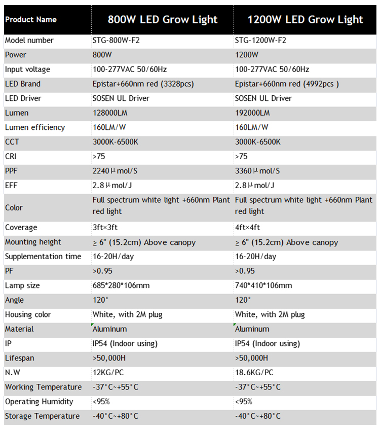 800w1200w Info