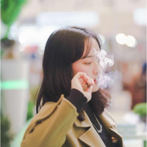 Healcier heated cigarette stick used with like mysmok