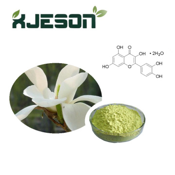 High Quality Quercetin Powder