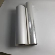 Medical Grade PP Film for Blister Packing