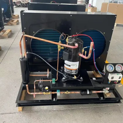 Open Type Cold Room Copeland Refrigeration Unit for Cold Storage