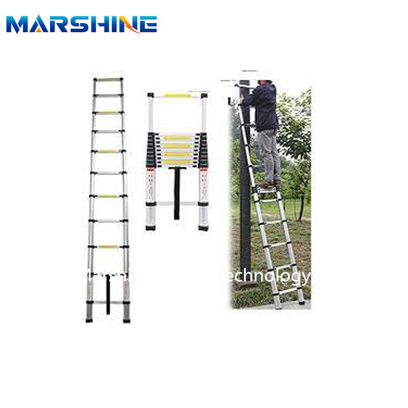 Telescopic Ladder 01