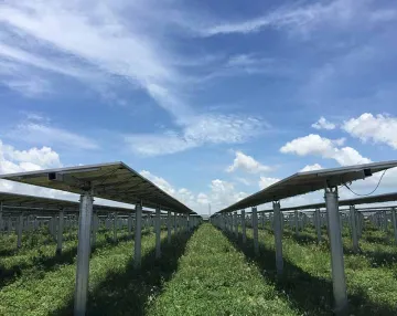 Farm cement single-column solar tracker