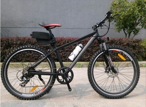 CE 250W 48V Li Battery in Frame Electric Bicycle (AFT-EB-143)