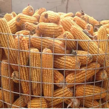 Hot Dipped Galvanized Welded Mesh Farm Fencing: Wire Mesh Solutions