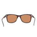Brown Carbon Fiber Sunglasses