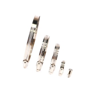 China Manufacturer Stainless Steel Hose Clamps - Micro Polished Fuel Spring Clamps