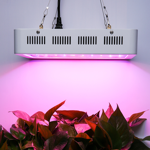 Spektrum penuh LED Grow Light untuk indoor