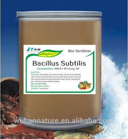 agrochemicals,organic fertilizer, fruits,vegetable Bacillus sublilis 300 billion cfu/g SP