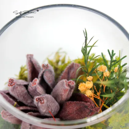 Preserved Moss and Botanicals for Home Decor and Gifts