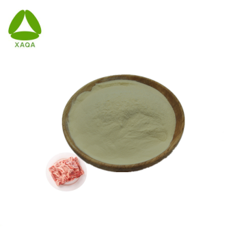 Oral Healthcare 99% Bovine Bone Collagen Peptide Powder