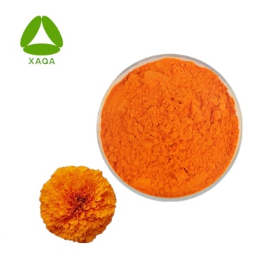 Marigold Extract Lutein Powder 10% Eye Care Material