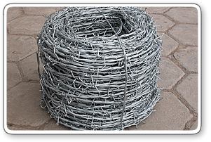 Hot Dipped Galvanized Electro Steel Iron Barbed Wire