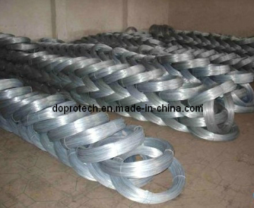 Electro Galvanized Iron Wire (DP-GIW02)