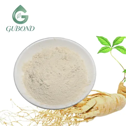 Ginseng Saponins Powder for Nutritional Supplements