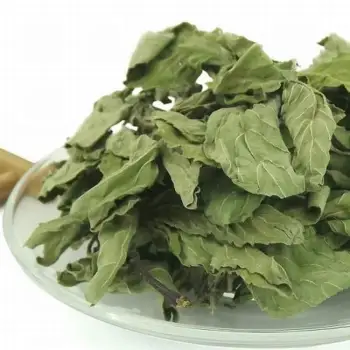 Menthae Haplocalycis Herba Peppermint Mint leaf boheye