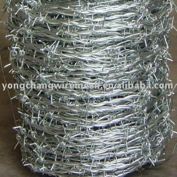 Barbed Wire