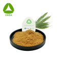 Equisetum Arvense Extract Powder sílice 7% UV