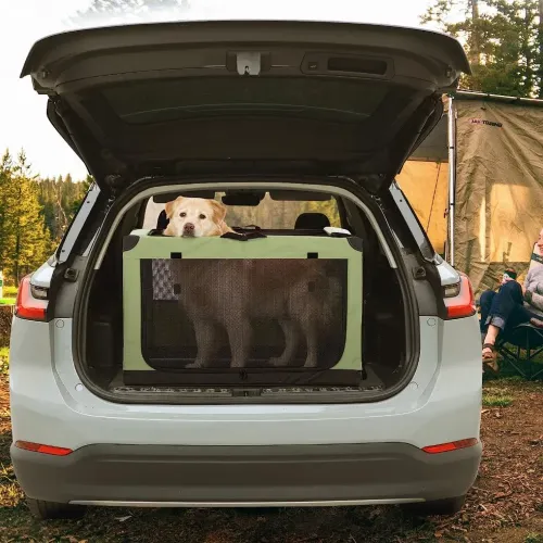 Collapsible Portable Dog Crate with Strong Steel Frame