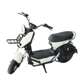 500W Electric Motorcycle: 48v/72v Two-Seater Moped for Road and Dirt